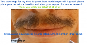 #Movember growth
