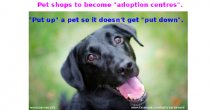 Adopt a pet and save a life