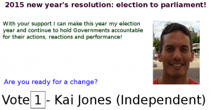 2015 resolution election